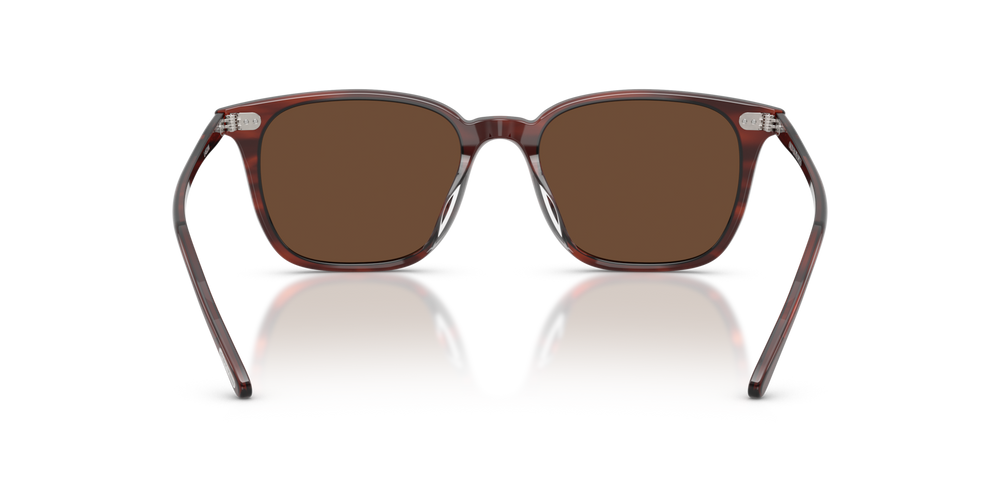 Oliver Peoples Laedin、モラド鼈甲フレーム、ブラウンレンズ - 画像 5