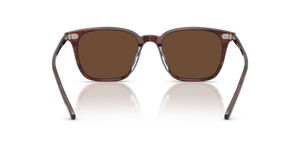 Oliver Peoples Laedin、モラド鼈甲フレーム、ブラウンレンズ - 画像 5