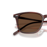 Oliver Peoples Laedin with Morado Tortoise frame and Brown lenses - Variant