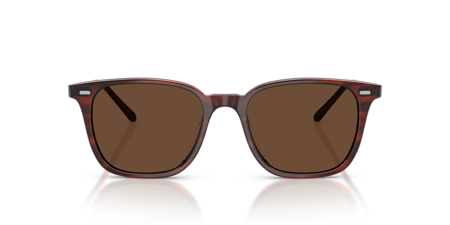 Oliver Peoples Laedin、モラド鼈甲フレーム、ブラウンレンズ - 画像 素材