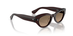 Oliver Peoples Lerrue with Dark Sienna frame and Brown lenses - image 3