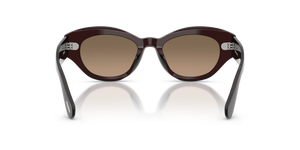 Oliver Peoples Lerrue with Dark Sienna frame and Brown lenses - image 5