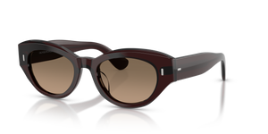 Oliver Peoples Lerrue with Dark Sienna frame and Brown lenses - image 1