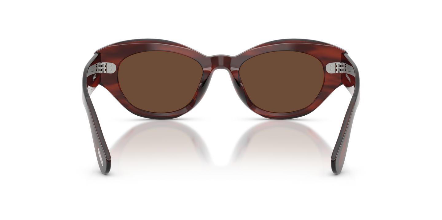 Oliver Peoples Lerrue with Morado Tortoise frame and Brown lenses - Image Nosepads