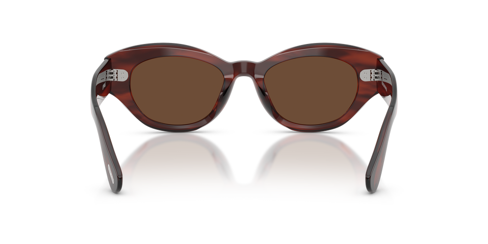 Oliver Peoples Lerrue con montura Carey morado y lentes Marrón - El 5