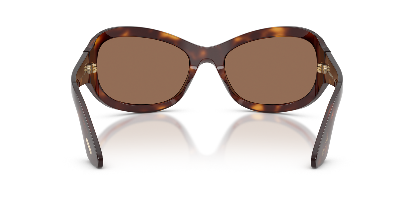 Oliver Peoples 1967C with Dark Mahogany frame and Brown lenses - Image Nosepads
