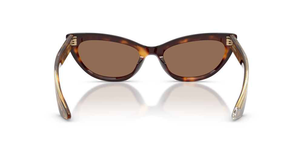 Oliver Peoples 1963C con montura Caoba oscuro y lentes Marrón - El 5