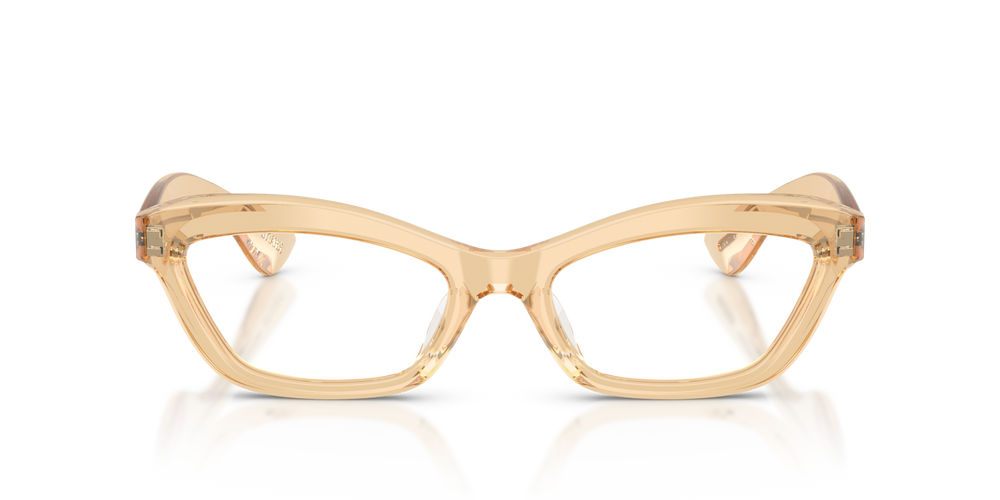 Sie Oliver Peoples 1997C mit Champagne Gestell und Klar Gläsern - bild 2