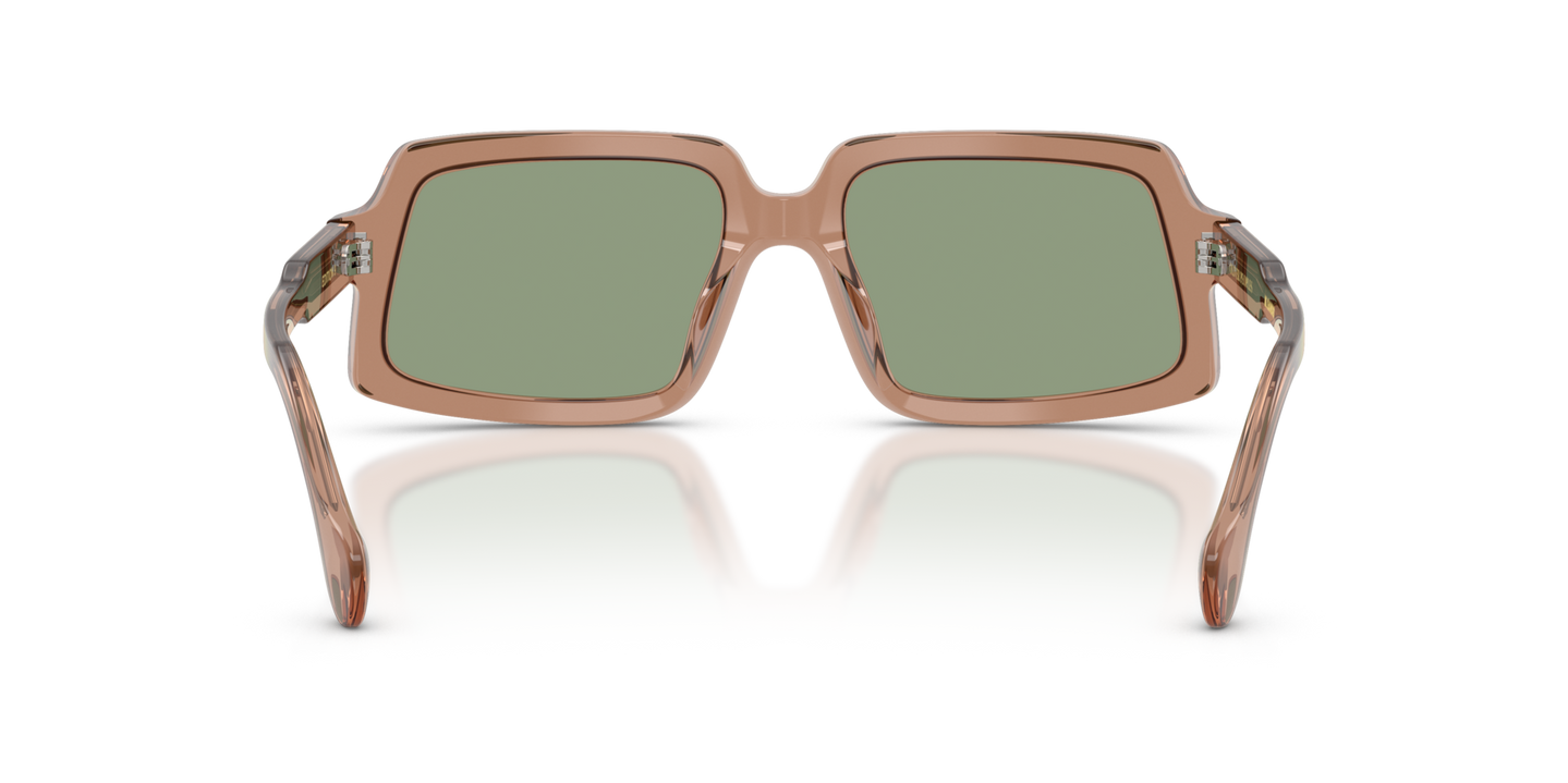 Sie Oliver Peoples Edition 9 mit Taupe Gestell und Grün Gläsern - Bild Stegplättchen
