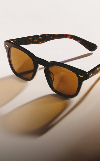 Capture the Light - Homepage Banner Image